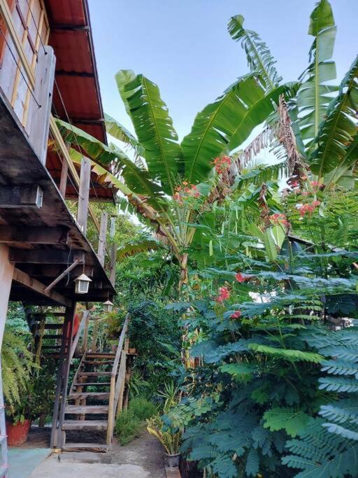 Country house Recanto Da Paz